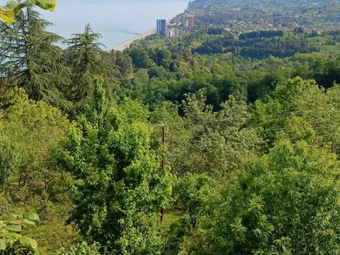 Земельный участок на Зеленый мыс. - სურათი 1