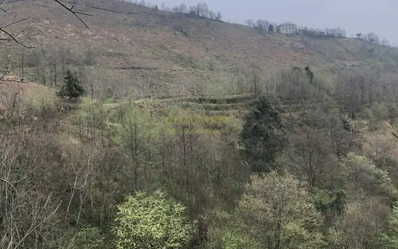 Продается земельный участок с видом на море и горы в тихом месте в Махинджаури.