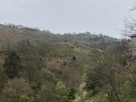 Продается земельный участок с видом на море и горы в тихом месте в Махинджаури.