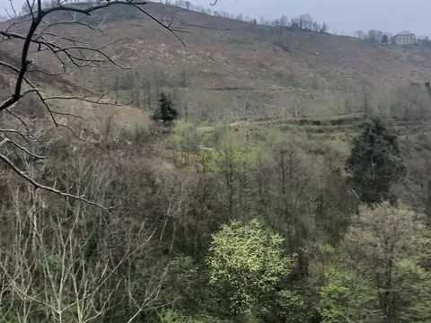 Продается земельный участок с видом на море и горы в тихом месте в Махинджаури.