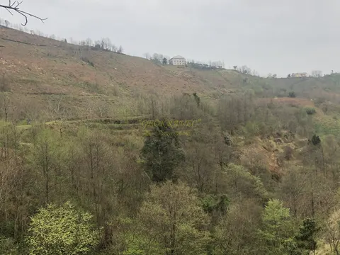 Продается земельный участок с видом на море и горы в тихом месте в Махинджаури.