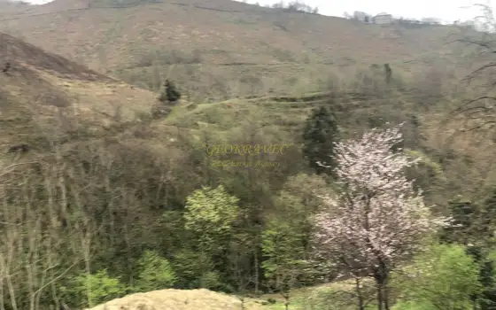 Продается земельный участок с видом на море и горы в тихом месте в Махинджаури.