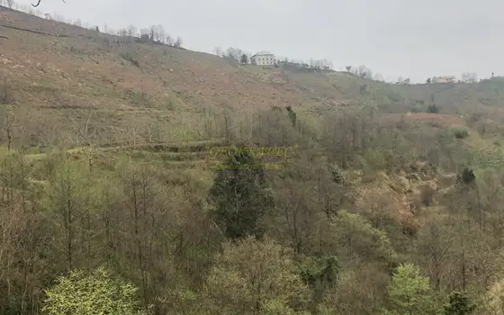 Продается земельный участок с видом на море и горы в тихом месте в Махинджаури.