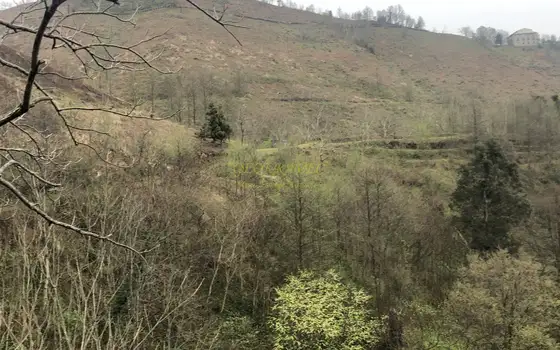 Продается земельный участок с видом на море и горы в тихом месте в Махинджаури.