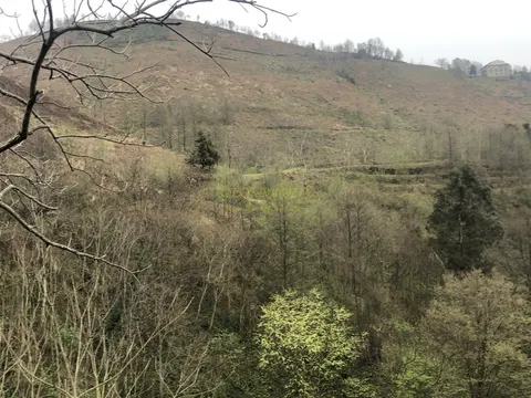 Продается земельный участок с видом на море и горы в тихом месте в Махинджаури.