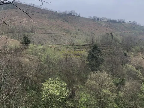 Продается земельный участок с видом на море и горы в тихом месте в Махинджаури.