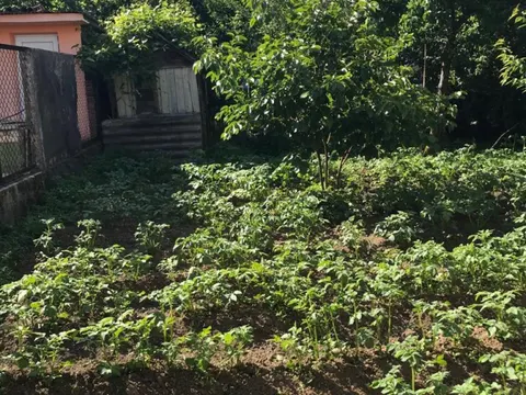 Частный дом в Кобулети.