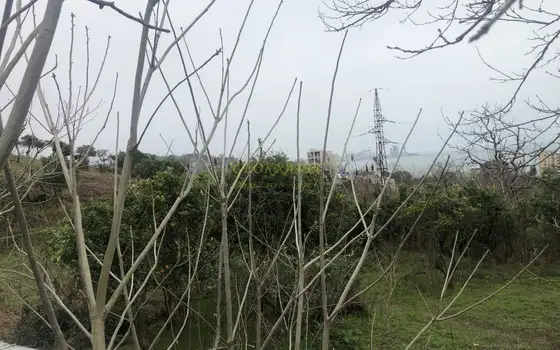 Продается земельный участок с видом на море и горы в тихом месте в Махинджаури.