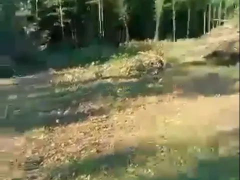 Купить участок в Грузии, Озургети.