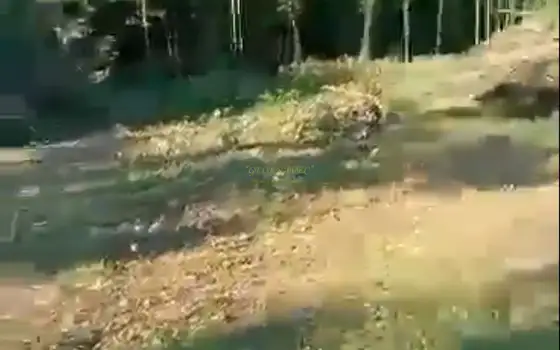 Купить участок в Грузии, Озургети.