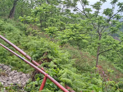 Купить земельный участок с видом на море.