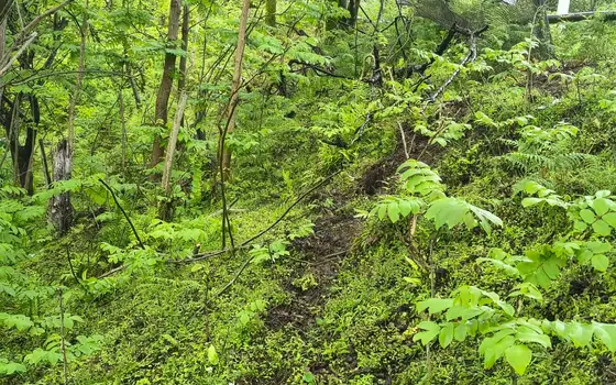 Купить земельный участок с видом на море., фото 5