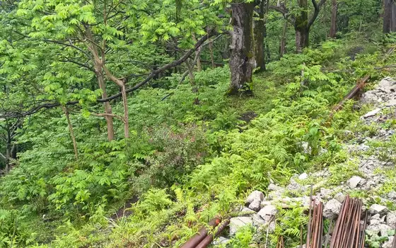 Купить земельный участок с видом на море., фото 2
