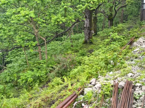 Купить земельный участок с видом на море.