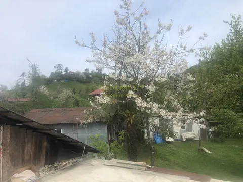 Продается земельный участок в тихом районе от моря 2 км-ах в Чакви.