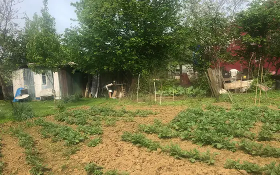 Продается земельный участок в тихом районе от моря 2 км-ах в Чакви.