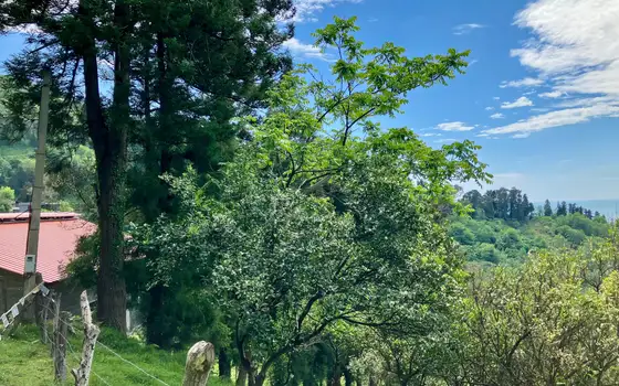 1158 sq. m Land Plot in Gonio with Sea and Mountain Views, photo 5