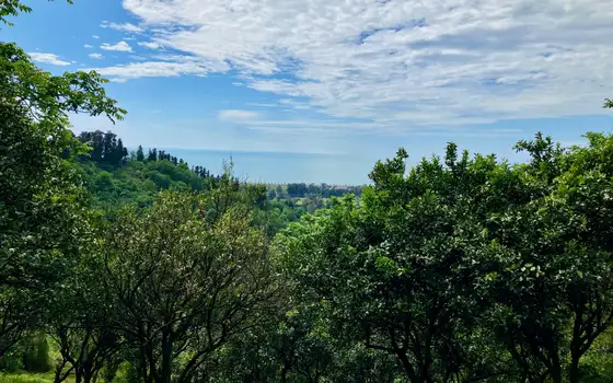 1158 sq. m Land Plot in Gonio with Sea and Mountain Views, photo 6