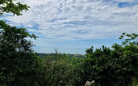1158 sq. m Land Plot in Gonio with Sea and Mountain Views, photo 3