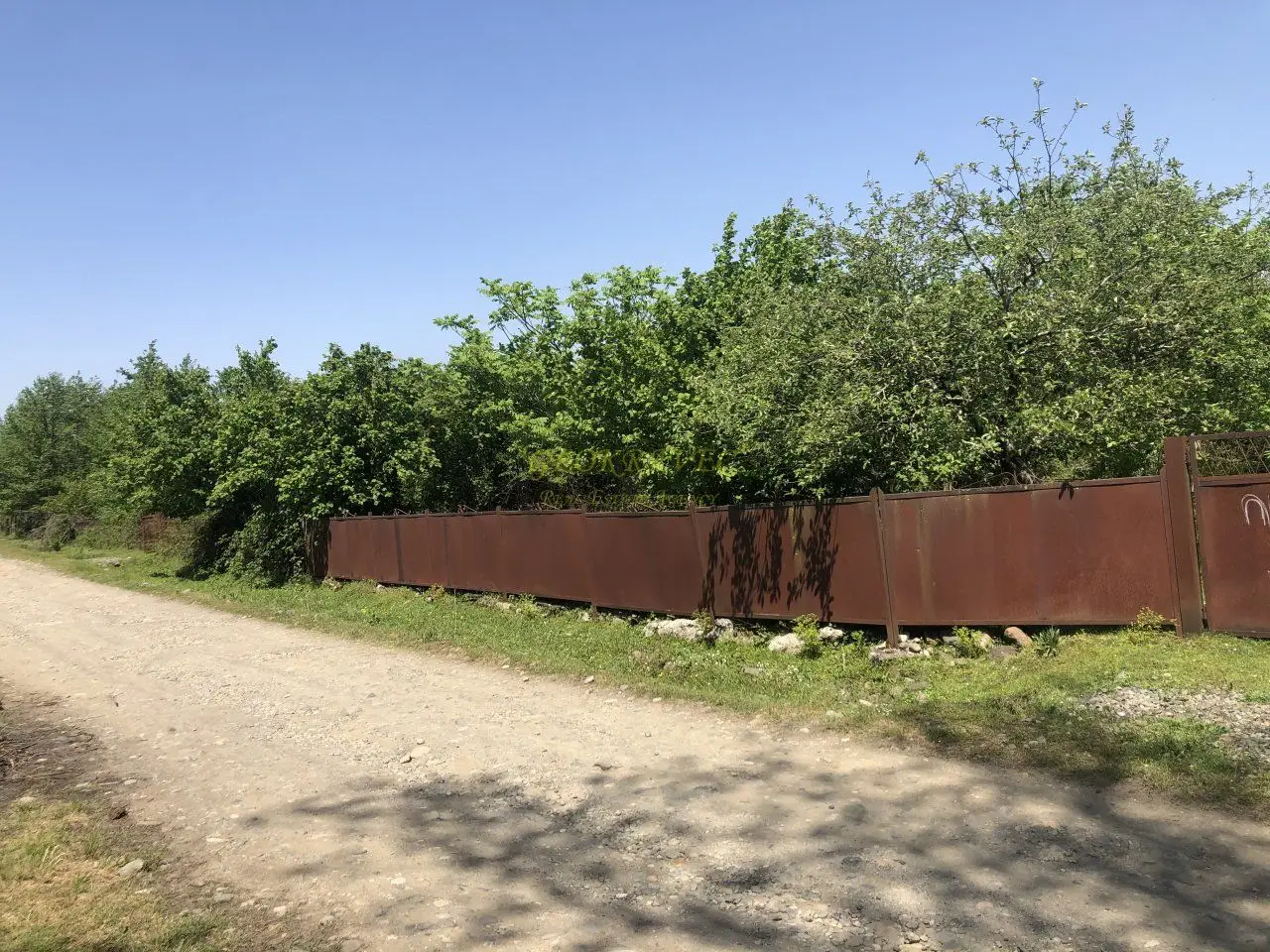 Продается земельный участок от города Озургети в 5 км с ореховым садом.