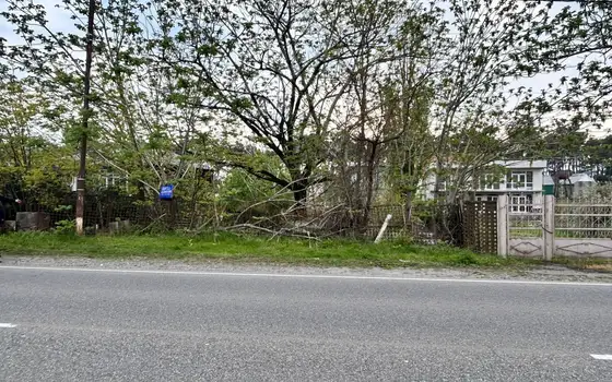 1470 m² Land Plot 200 m from the Sea, Grigoleti, photo 9