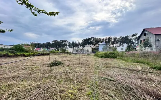 1470 m² Land Plot 200 m from the Sea, Grigoleti, photo 6