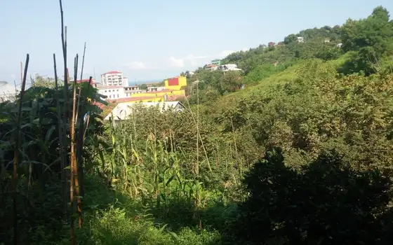 2,950 sq. m Land Plot in a მშვიდ, Green Area of Batumi, photo 5