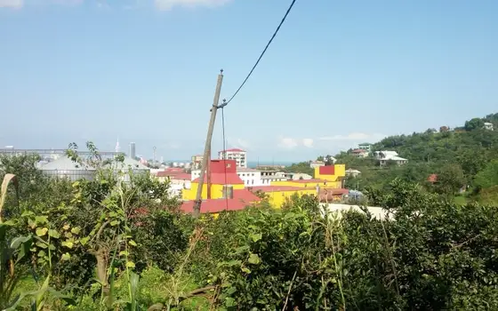 2,950 sq. m Land Plot in a მშვიდ, Green Area of Batumi, photo 11