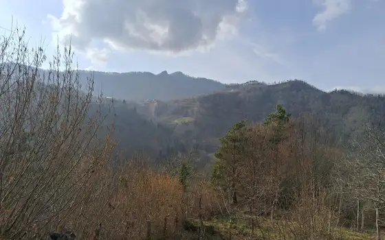 Земельный участок 2451 м² с видом на реку и горы в Ачарисцкали - სურათი 1