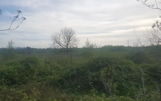 400 sq. m Land Plot Near the Sea in Ureki, photo 8