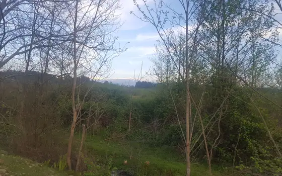 400 sq. m Land Plot Near the Sea in Ureki, photo 2