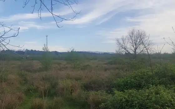 400 sq. m Land Plot Near the Sea in Ureki, photo 7