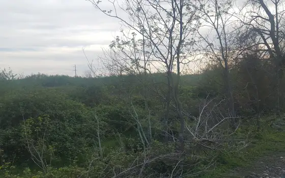 400 sq. m Land Plot Near the Sea in Ureki, photo 9
