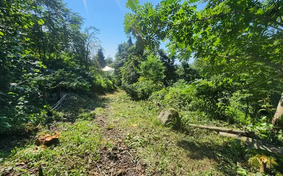 Urgent Land Plot in Kapreshumi, photo 3