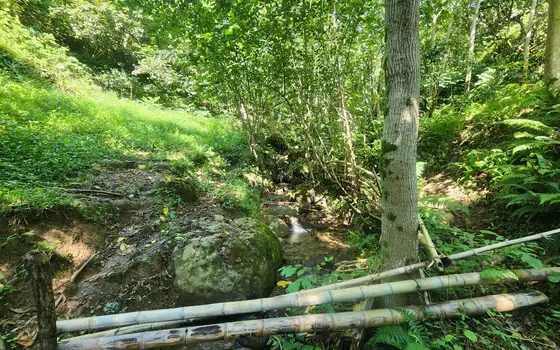 Urgent Land Plot in Kapreshumi, photo 7