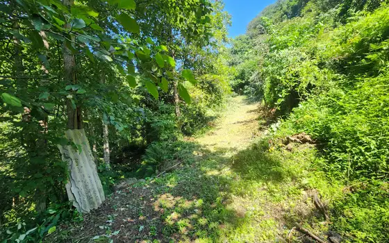 Urgent Land Plot in Kapreshumi, photo 11