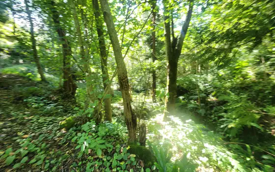 Urgent Land Plot in Kapreshumi, photo 10