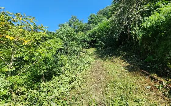 House with Large Land Plot and Sea View in Kapreshumi, photo 4