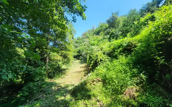 House with Large Land Plot and Sea View in Kapreshumi, photo 7