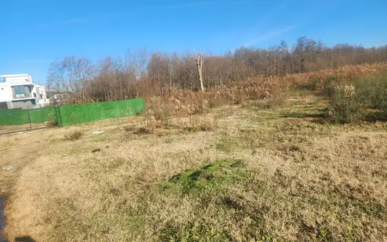 402 m² Land Plot Near the Sea in Kaprovani, photo 4