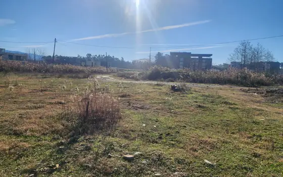 402 m² Land Plot Near the Sea in Kaprovani, photo 3