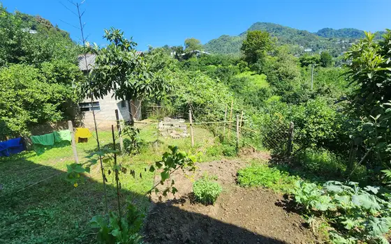 Spacious House with Large Land Plot in Gorgadzeebi, photo 9