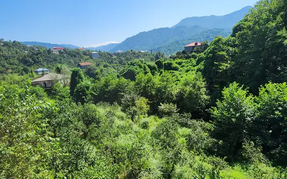 Spacious House with Large Land Plot in Gorgadzeebi, photo 11