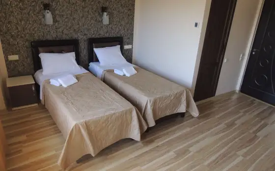 Operating 9-Storey Hotel on Petre Bagrationi Street, photo 7