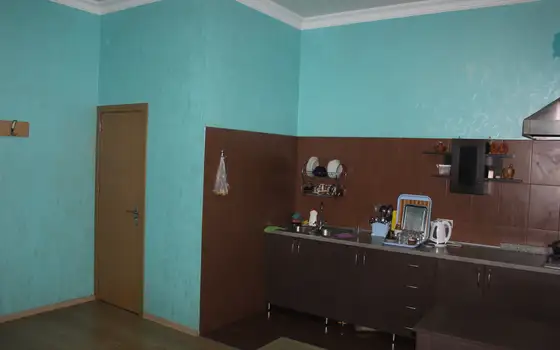 Коммерческое здание в центре Батуми, фото 8