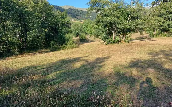 2091 m² Land Plot in Goderdzi, photo 3