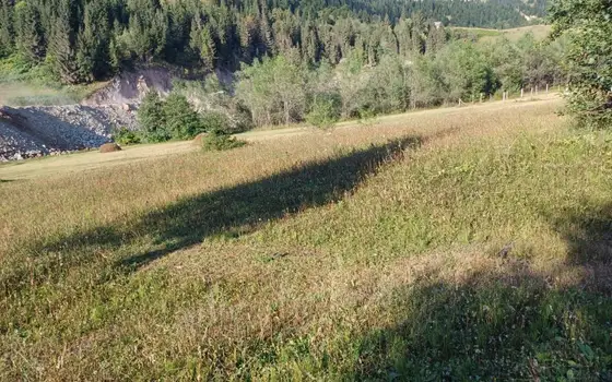 2091 m² Land Plot in Goderdzi, photo 6