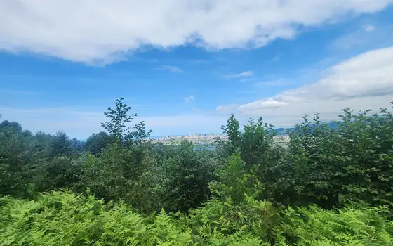 Участок 2500 м² с панорамным видом недалеко от Батуми, фото 9