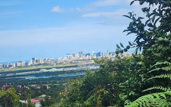 Участок 1000 м² с видом на море, фото 10