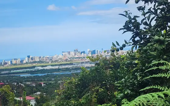 Участок 1000 м² с видом на море, фото 9